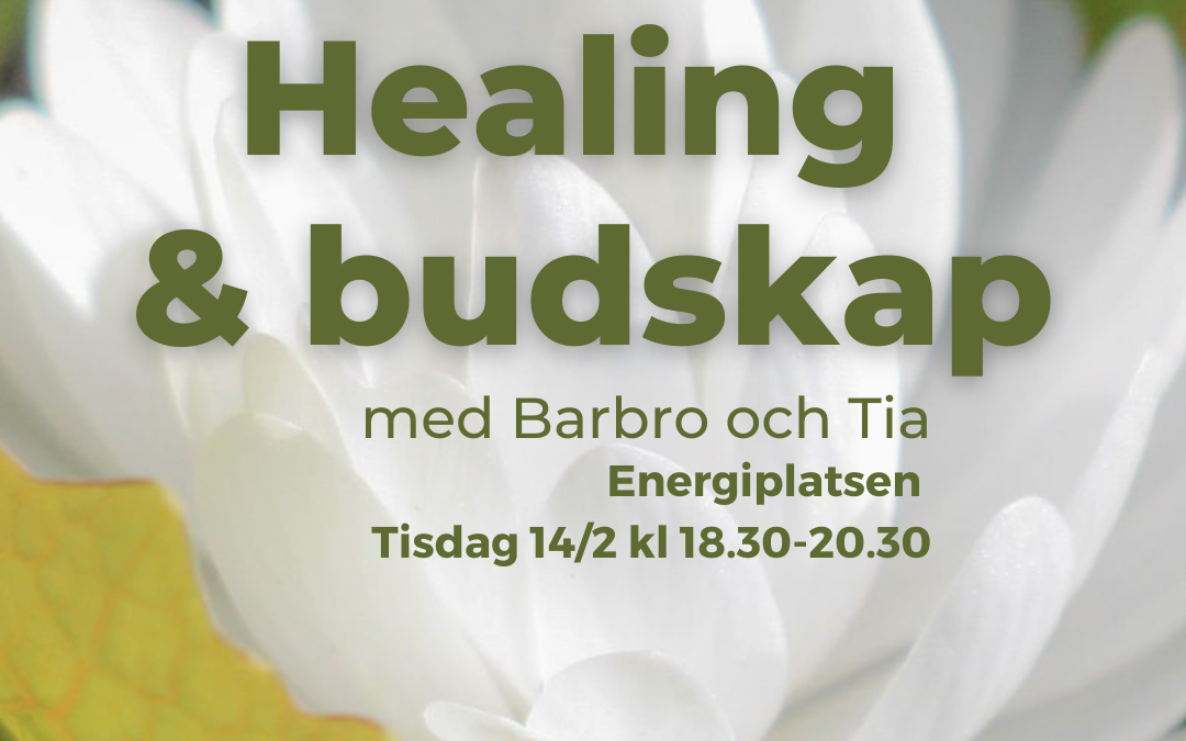 Event 14/2: Healing & Budskap