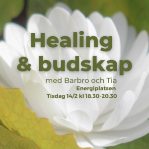 Event 14/2: Healing & Budskap